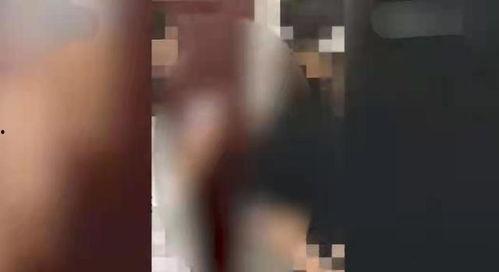 天津爆料杨某某事件视频,视频揭露惊人真相