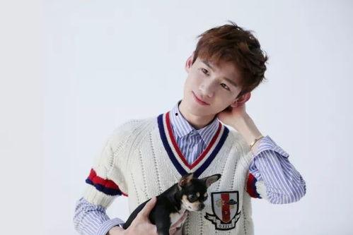 圈内人爆料白敬亭谭松韵,甜蜜互动引粉丝热议 第2张 圈内人爆料白敬亭谭松韵,甜蜜互动引粉丝热议 第2张